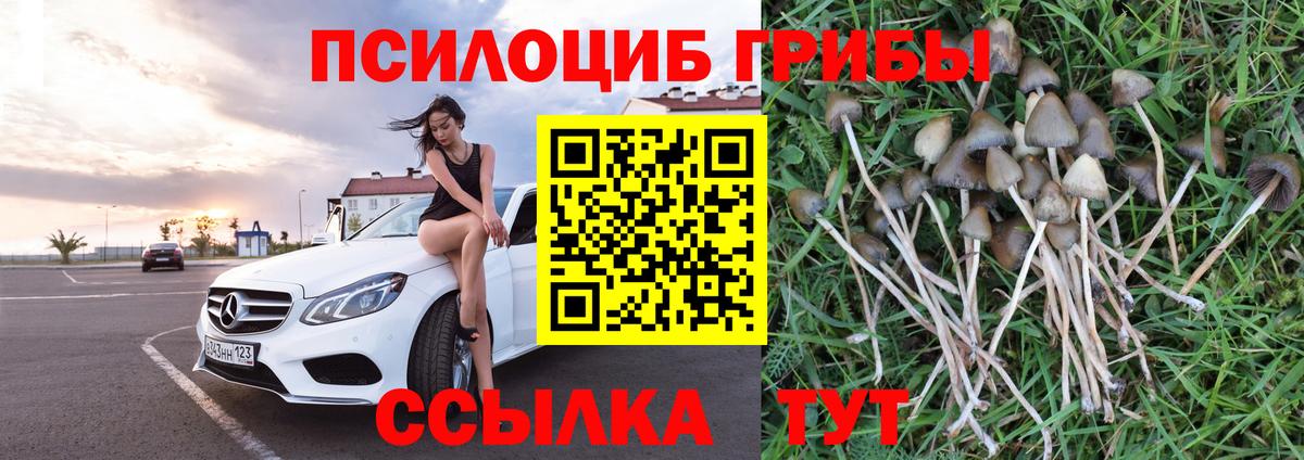 Псилоцибиновые грибы MAGIC MUSHROOMS Ишим