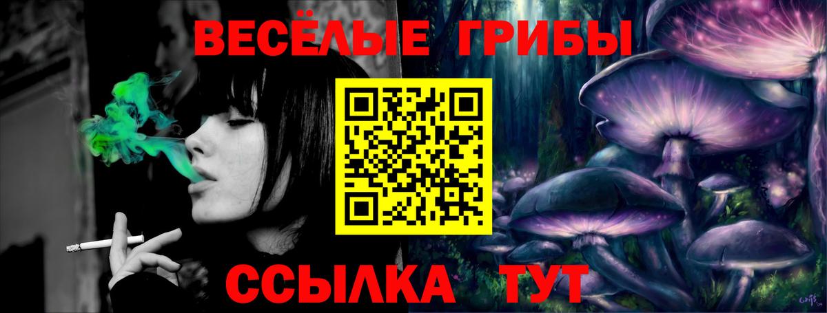 Галлюциногенные грибы мухоморы  Вход с VPN  Ишим 